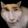 Винжер