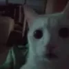 Furni_tura