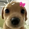Бальзам для душы