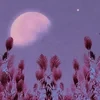 LunarMoon