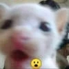 KotE_BayunE