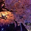 _-Ваша верная слуга Тёрн-_