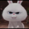 Kaplain