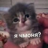 Deksa_228