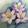 Maria Kemchuk