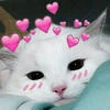 meowekss
