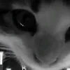 Semmi_lol