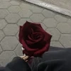 di1yaxvibe