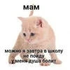 Брайнятина2