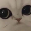 ЧеЛоВеК_из_КоСмОсА