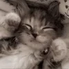 Ржавая ножовка