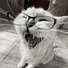 iwwuymeow