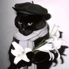 SilentVesper