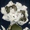 Мира Синистер