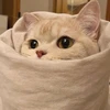 Кисюлька
