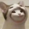 2505644