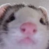Marlo000