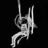 nob.ilis