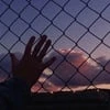 ПростоМногоКрашей