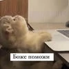 Moreder