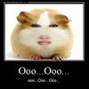 -_ZoRka_-