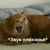 Наталия Жихарева