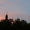 Майкл Крыс