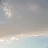 Упорный яойщик