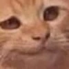 serafimlin
