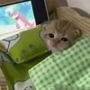 Стасик_192