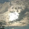 Се лянь101