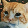 Alittlesuffer