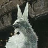 Fluffy_Orbiter