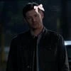 sunshine winchester