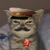 Cat-kun