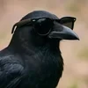 ПарадоксФика
