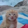 Я что-то с чем-то