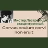 Лестри муза