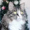 Пол второго