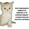 Язь_Здоровенный