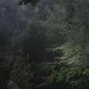apata_gior