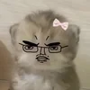 Viktoriiiax