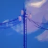 Пыльный Чизкейк