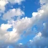 _Художник_Васильевич_