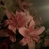 Ann_Hollander
