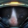 XCOMmander