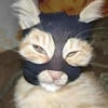 The_Agent_