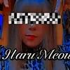 Haru_Meow