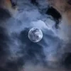 The Dark Dream