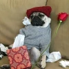 Анастасия Редос